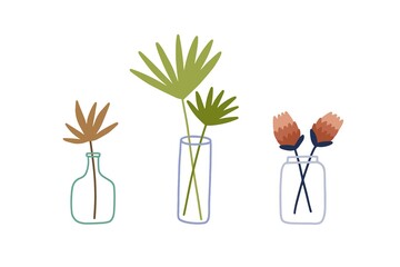 Wall Mural - Flowers and leaves in glass vase, bottle and jar. Foliage branch with leaf for interior decoration. Modern plants for home decor. Colored flat vector illustration isolated on white background
