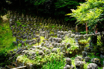 Canvas Print - Adashino in Kyoto.