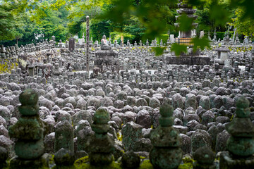 Canvas Print - Adashino in Kyoto.