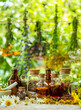 Tincture of medicinal herbs in bottles. Selective focus.