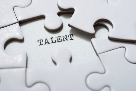 Talent concept view
