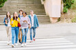 © Iryna - Full height of happy young group of five males and females students on a walk on a day off. A happy friends crossing the road at a pedestrian crossing. Front view.