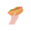 hot dog in hand. grilled sausage , vegetables embedded in a wheat bun. Fast food, affordable snacks. national hot dog day design template. vector illustration, flat