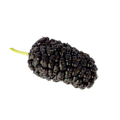 Wall Mural - mulberry isolated on white background. black berries