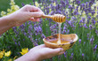 Woman holds honey dipper over wooden plate with honey. Flowering lavender plants at the background.