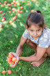 Girl is holding ripe apricots under the apricot tree.