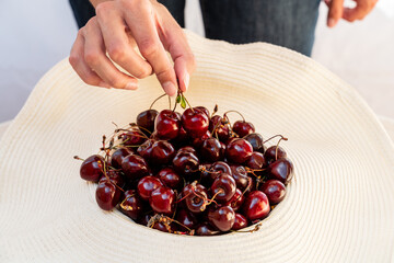 Wall Mural - cherries in a hand