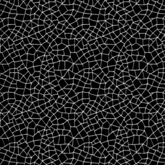 Poster - Scratched and Cracked Grunge Urban Background Texture Vector. Dust Overlay Distress Grainy Grungy Effect. Distressed Backdrop Vector Illustration. Isolated Black on White Background. EPS 10.