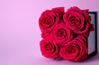 Rote infinity Rosen auf dem pinken Hintergrund Hintergrund