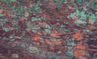 © Gustavo - Background with wood texture of the tree trunk.