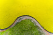 © Austockphoto - Aerial view of the curved edges of a vivid yellow paddock of canola