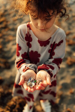 Little Kid With Seashells In Hands