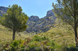 Berge und mediterrane Vegetation am Cap Ferrutx Mallorca