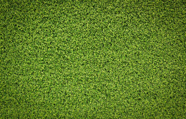 Canvas Print - top view green grass texture for background