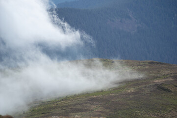 Wall Mural - fog on a mountain range in the carpathian mountains