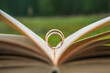 Wedding rings on holy bible book, close up. Wedding, vow, love