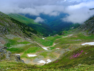 Wall Mural - Beautiful mountain summer landscape of Parang Mountains in Romania