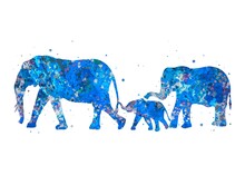 Elephant Family Animal Blue Watercolor Art, Abstract Painting. Watercolor Illustration Rainbow, Colorful, Decoration Wall Art.