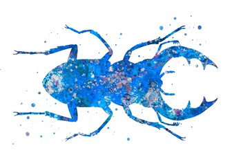 Wall Mural - Stag Beetle Animal blue watercolor art, abstract painting. Watercolor illustration rainbow, colorful, decoration wall art.