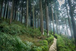 Lamahatta Eco Park, Darjeeling, India