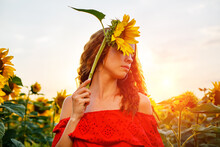 Cute Young Woman Is Holding Sunflower In Her Hand While Standing In Field At Sunset. Beautiful Gentle Girl Of Caucasian Ethnicity In Red Dress In The Rays Of Setting Sun. The Concept Of Natural