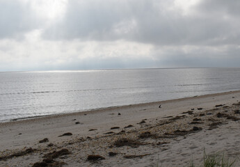 Early morning at the beach, Slaughter Beach, Delaware, looking out onto the ocean