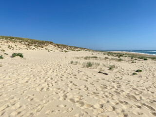 Canvas Print - Plage du Cap ferret, Gironde