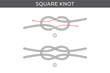 Vector simple instructions for tying a Square knot. Three steps. Isolated on white background.