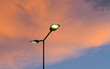 © Dragoș Asaftei - Public street lighting pole with LED lights with an amazing sunset color background.