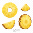 3d realistic isolated vector pineapple set, pineapple circle round pieces and pineapple slices and a half