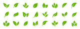 Fototapeta  - Set of green leaf icons. Leaves of trees and plants. Leaves icon. Collection green leaf. Elements design for natural, eco, bio, vegan labels. Vector illustration.