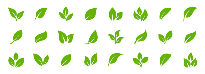 set of green leaf icons. leaves of trees and plants. leaves icon. collection green leaf. elements de