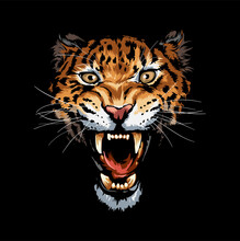 Wild Leopard Roaring Face On Black Background Vector Illustration