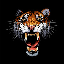 Angry Tiger Face Roar Vector Illustration On Black Background
