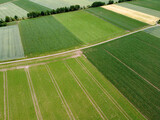 Fototapeta Młodzieżowe - Aerial view of an agricultural field with grain planted in spring in Bavaria