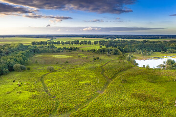 Sticker - Aerial view of river valley scene in Drenthe