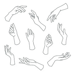 Wall Mural - set of linear hands in various gestures. modern boho female hands. vector illustration