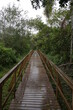 ponte