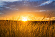 © dk-fotowelt - Stimmungsvoller Sonnenuntergang Landschaftsmotiv