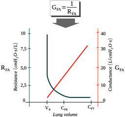 Poster - variation of the airway resistance and conductance with lung volume