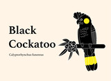 Fototapeta Tęcza - A black cockatoo design vector