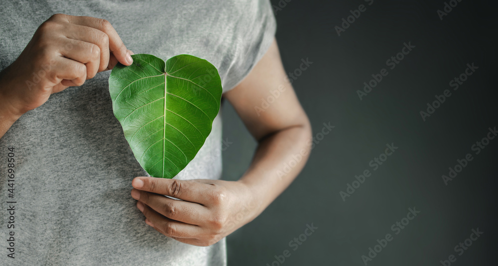 Green Energy, Renewable and Sustainable Resources. Environmental and Ecology Care Concept. Close up of Hand Holding a Heart Shape Green Leaf on Chest - obrazy, fototapety, plakaty 
