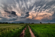 Big Storm Cloud Over The Fields - Mammatus Clouds