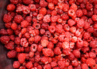 Wall Mural - Raspberries background. Fresh red berries of ripe raspberries	