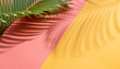 Green tropical palm leaves on colorful background with sunlight. Minimal summer creative flat lay.