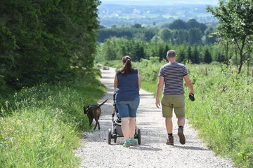 Poster - Belgique Wallonie Hautes Fagnes paysage tourisme balade nature promenade environnement 