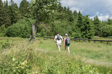 Poster - Belgique Wallonie Hautes Fagnes paysage tourisme balade nature promenade environnement 