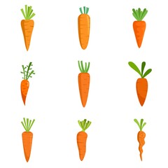 Poster - Carrot icons set flat vector isolated