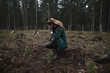 Close up on a young woman middle of the forest preparing to plant a new pine seedling. Young handsome woman works in the forest. Forest work, pinus sylvestris. 