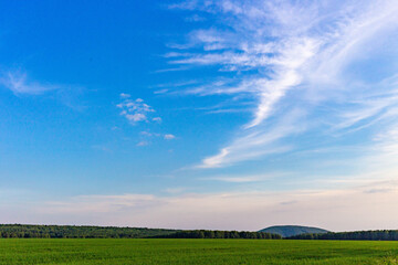 field and forest on the horizon in the distance hill